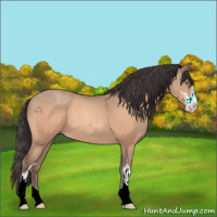 Horse Color:Sable Champagne Sabino 