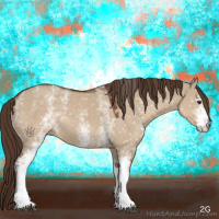 Horse Color:White Spotted Liver Red Dun 