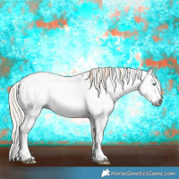 Horse Color:Gray White Spotted Chocolate Palomino Dun Mushroom Sabino Splash 