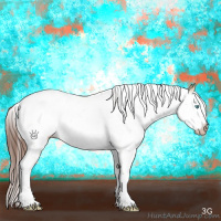 Horse Color:Gray Buckskin Pearl Dun Splash Tobiano Appaloosa 