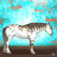 Horse Color:Gray Chocolate Palomino Dun Mushroom Sabino Splash Frame Appaloosa 