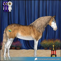 Horse Color:Chocolate Palomino Dun Sabino Splash Brindle