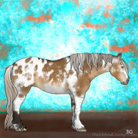 Horse Color:Gray Silver Buckskin Dun Sabino Tobiano Appaloosa 