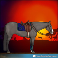 Horse Color:Smoky Grullo Splash 