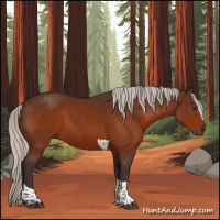 Horse Color:Silver Brown Sabino Tobiano Rabicano 