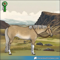 Horse Color:Silver Buckskin Dun Tobiano 