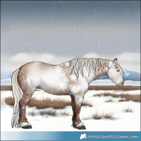 Horse Color:Gray White Spotted Silver Brown Pearl 
