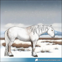 Horse Color:Gray White Spotted Silver Black Pearl 