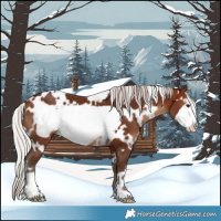 Horse Color:White Spotted Silver Bay Frame 