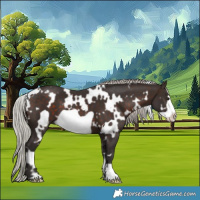 Horse Color:White Spotted Silver Brown Frame 