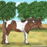Horse Color:Liver Chestnut Tobiano 