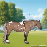 Horse Color:White Spotted Silver Brown Dun Tobiano