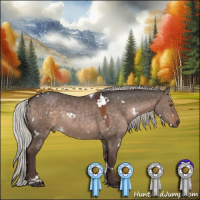Horse Color:White Spotted Silver Brown Dun Tobiano 