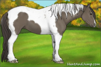 Horse Color:Smoky Black Tobiano 