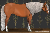 Horse Color:Chocolate Silver Bay Sabino