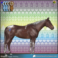 Horse Color:Chocolate Brown Tobiano 