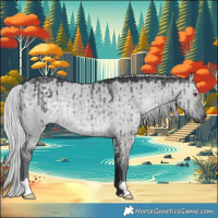 Horse Color:Silver Grullo Chinchilla Brindle 