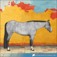 Horse Color:Blue Roan 