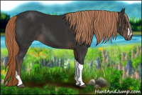 Horse Color:Liver Chestnut 