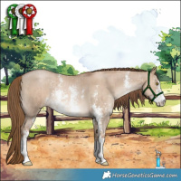 Horse Color:Liver Red Dun Pearl Sabino Brindle 