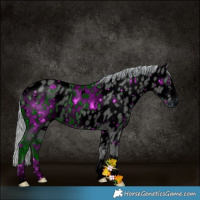 Horse Color:ERROR: UNKNOWN ANOMALY