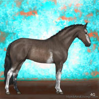 Horse Color:White Spotted Brown Dun Rabicano Brindle 