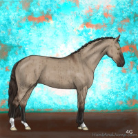 Horse Color:Liver Red Dun Brindle 