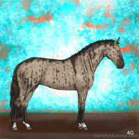 Horse Color:Liver Red Dun Brindle 