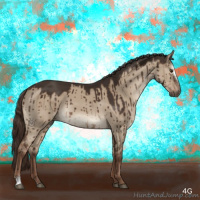 Horse Color:Liver Red Dun Sabino Brindle 
