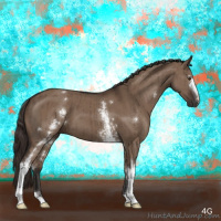 Horse Color:White Spotted Liver Red Dun Brindle 