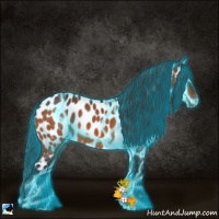 Horse Color:Thunderstruck Bay Near Leopard 