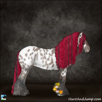 Horse Color:Painted Bay Appaloosa 