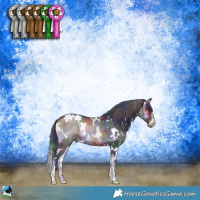 Horse Color:Nacre White Spotted Blue Onyx Sabino Rabicano 