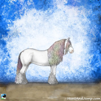 Horse Color:Nacre Brown Sabino Rabicano 