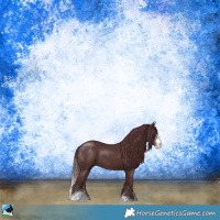 Horse Color:Chocolate Brown Sabino 