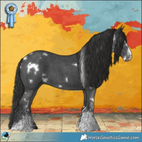 Horse Color:White Spotted Liver Chestnut Sabino