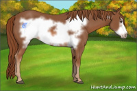 Horse Color:Chestnut Frame 
