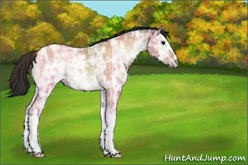 Horse Color:Bay Ice Onyx Rabicano 