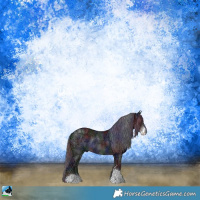 Horse Color:Nacre Black Ice Sabino Rabicano