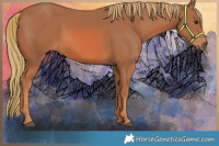 Horse Color:Watercolor Chestnut 