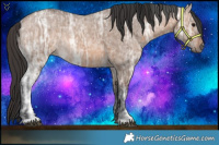 Horse Color:Brown Ice Dun