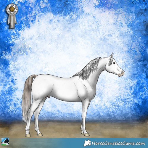 Horse Color:Smoky Blue Onyx Ice Sabino Appaloosa Rabicano 