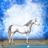 Horse Color:Brown Ice Onyx Snowflake Varnish