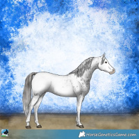 Horse Color:Black Ice Mushroom Sabino Appaloosa Rabicano 