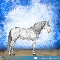 Horse Color:Black Ice Sabino Snowflake Varnish 