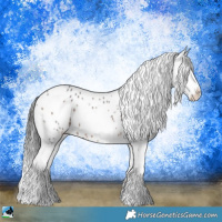 Horse Color:Brown Sabino Appaloosa 