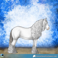 Horse Color:Brown Sabino Snowflake Varnish