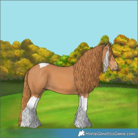 Horse Color:Chestnut Tobiano 