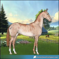Horse Color:Gold Champagne Dun Brindle 