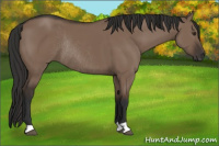 Horse Color:Liver Red Dun Rabicano 
